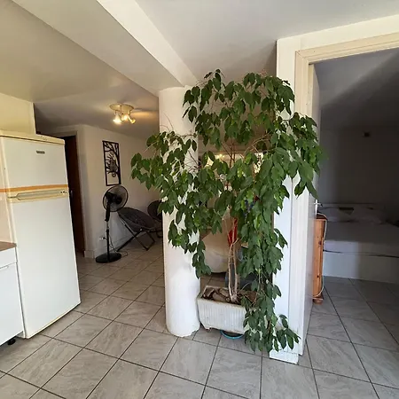 Rez De De 45 M2 Calme Et Fleuri *