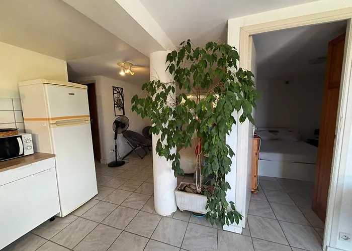 Rez De De 45 M2 Calme Et Fleuri *